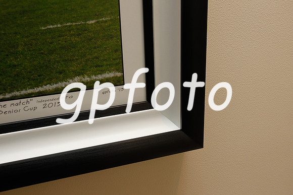 _frame detail