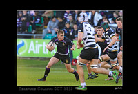 Patrick Thornton