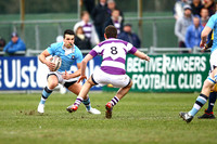 Rugby Union - Leinster SCT - Clongowes vs. St Michaels
