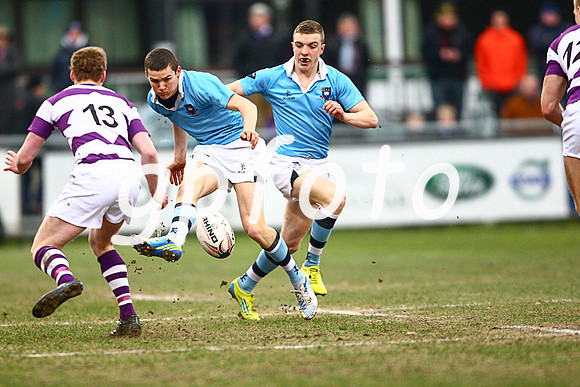 Rugby Union - Leinster SCT - Clongowes vs. St Michaels