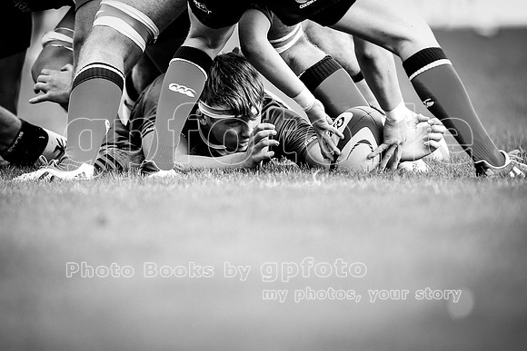 20150912-_P169546