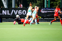 19-07-2019-CGJ20421.JPG