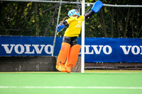 17-07-2019-CGJ23436.JPG