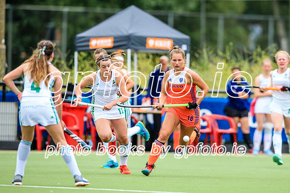 15-07-2019-SWYL6103.JPG