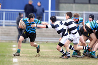 Belvedere v Gerards