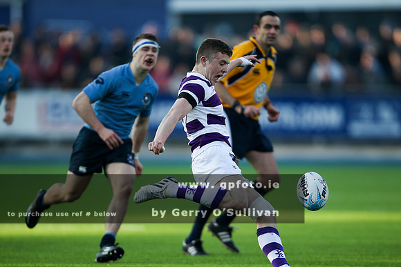 20150208-DS1E1928