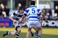 JCT Final Belvedere Selection