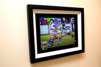 jay Framed