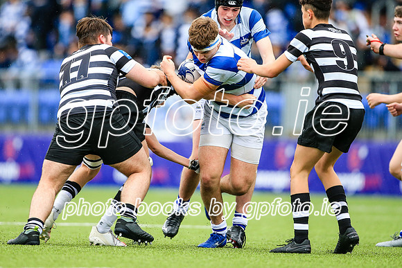 06-10-2021-SWYL7559