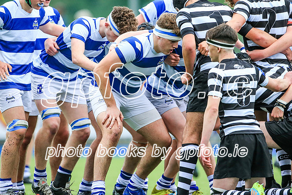 06-10-2021-SWYL6829