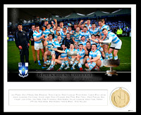 Team & Medal small