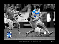 Nick Timoney color pop
