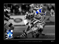 Jay color pop