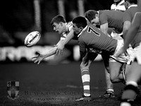 Gary Ringrose