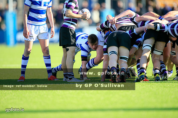gpfoto.ie