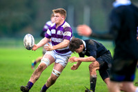 Clongowes V Cambell College