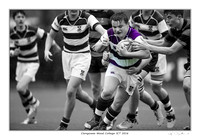Gallery Prints