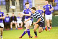 Dundalk Grammar v Templeogue College  Father Gadfrey Cup 2016