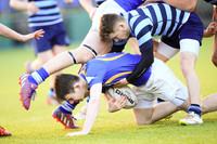 Dundalk Grammar v Templeogue College  Father Gadfrey Cup 2016