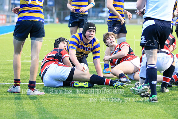 Dundalk Grammar v Templeogue College  Father Gadfrey Cup 2016