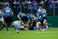 Join the "Target List" for more photos of your player next match.