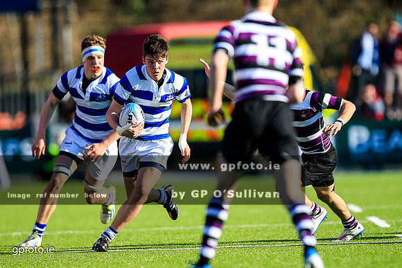 gpfoto.ie
