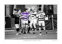 Gallery Prints