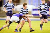 Dundalk Grammar v Templeogue College  Father Gadfrey Cup 2016