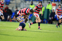 Dundalk Grammar v Templeogue College  Father Gadfrey Cup 2016