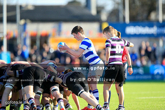 gpfoto.ie