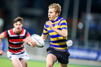 Dundalk Grammar v Templeogue College  Father Gadfrey Cup 2016
