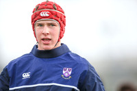 Clongowes v Kings Hospital ( Per Match)