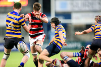 Dundalk Grammar v Templeogue College  Father Gadfrey Cup 2016