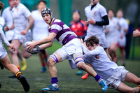 Clongowes v Pres Bray