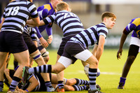 Dundalk Grammar v Templeogue College  Father Gadfrey Cup 2016