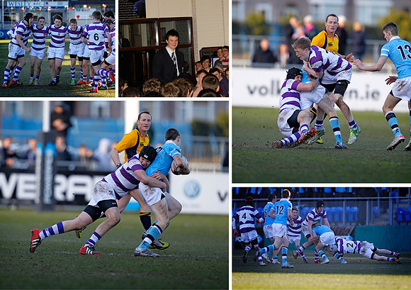 440x310 5 pic collage d walsh
