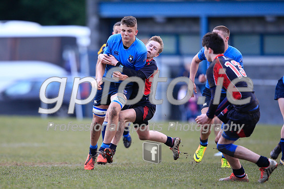 20150205-_P154585