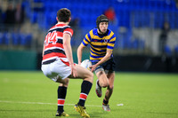 Dundalk Grammar v Templeogue College  Father Gadfrey Cup 2016