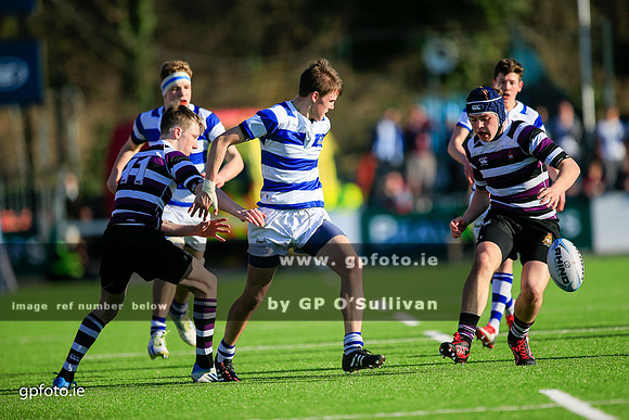gpfoto.ie