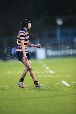 Dundalk Grammar v Templeogue College  Father Gadfrey Cup 2016