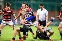Dundalk Grammar v Templeogue College  Father Gadfrey Cup 2016