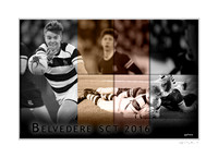 Gallery Prints