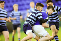 Dundalk Grammar v Templeogue College  Father Gadfrey Cup 2016