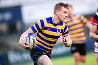 Dundalk Grammar v Templeogue College  Father Gadfrey Cup 2016