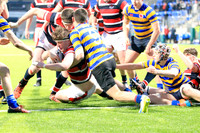 Dundalk Grammar v Templeogue College  Father Gadfrey Cup 2016