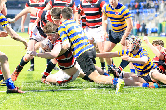 Dundalk Grammar v Templeogue College  Father Gadfrey Cup 2016