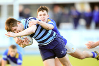 Dundalk Grammar v Templeogue College  Father Gadfrey Cup 2016
