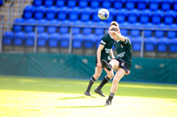 Newbridge v Belvedere JCT