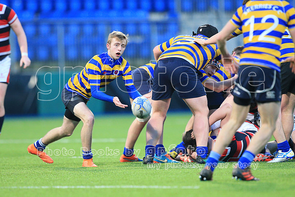 Dundalk Grammar v Templeogue College  Father Gadfrey Cup 2016