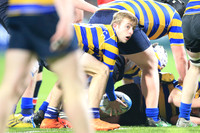 Dundalk Grammar v Templeogue College  Father Gadfrey Cup 2016